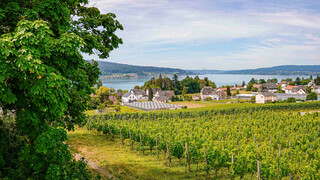 Reichenau Wein Untersee Aussichtspunkt | © Lena-Martin