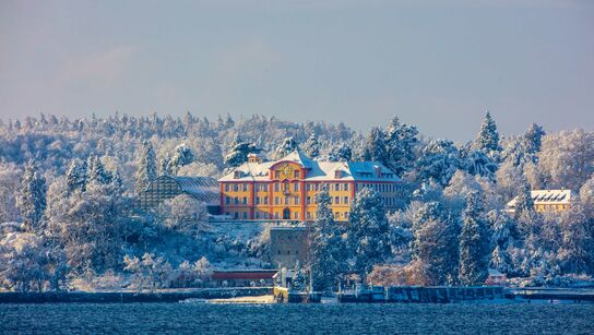 Mainau Winter | © Achim Mende