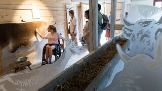 Die Fühlkuh in Hof Beck im Bauernhaus-Museum 