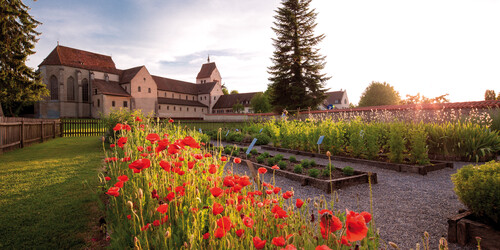 Münster St. Maria und Markus mit Kräutergarten auf der Insel Reichenau am Bodensee