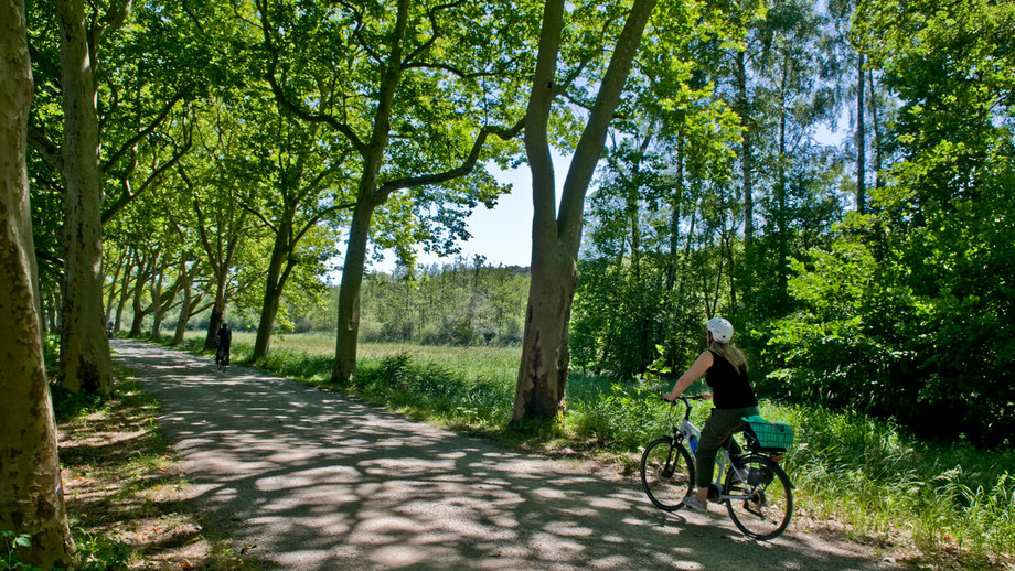 fahrrad von meersburg nach uhldingen-mühlhofen