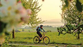 Radfahren am Bodensee