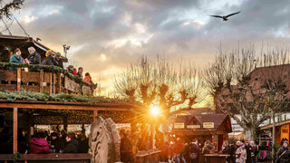 Christmas market by the lake - Constance | © MTK