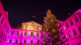 Christmas Garden Insel Mainau | © Achim Mende